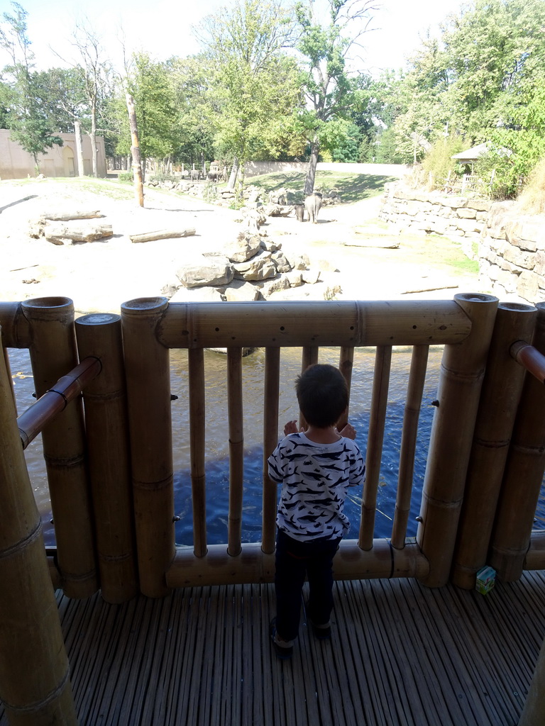 Max at the Indian travel bureau at the Asia section of ZOO Planckendael, with a view on the Asian Elephants
