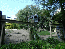 Walkway and viewing platform over the Asia section of ZOO Planckendael