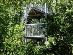 Walkway and viewing platform over the Asia section of ZOO Planckendael