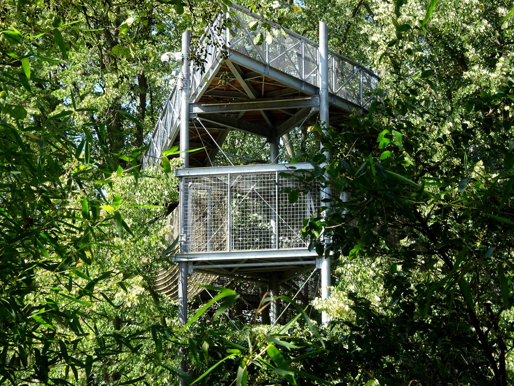 Walkway and viewing platform over the Asia section of ZOO Planckendael