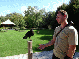 Zookeeper and Raven at the birds of prey show at the Europe section of ZOO Planckendael