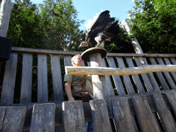 Zookeeper and Hooded Vulture at the birds of prey show at the Europe section of ZOO Planckendael