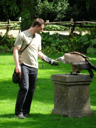 Zookeeper and Griffon Vulture at the birds of prey show at the Europe section of ZOO Planckendael