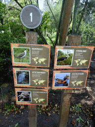 Explanation on some bird species at the Oceania section of ZOO Planckendael