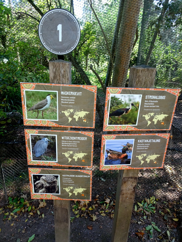 Explanation on some bird species at the Oceania section of ZOO Planckendael
