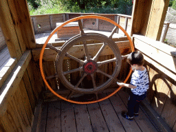 Max at the steering wheel of the Crocodile expedition boat at the Oceania section of ZOO Planckendael