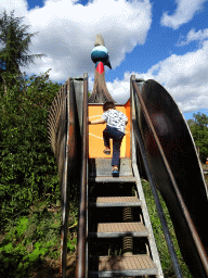 Max climbing a peacock statue at the Oceania section of ZOO Planckendael