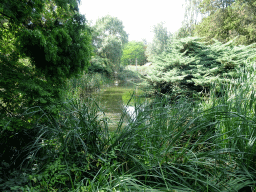 Pond, trees and plants at the Oceania section of ZOO Planckendael