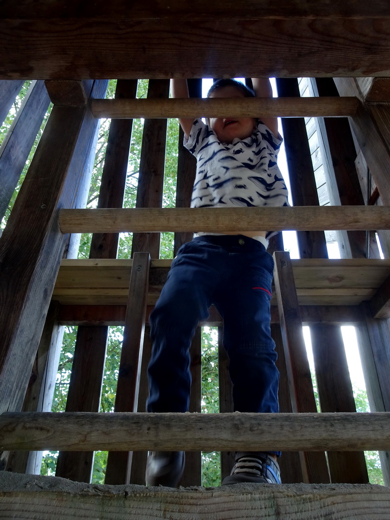 Max climbing the large Elephant statue at the playground at the Africa section of ZOO Planckendael