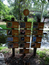 Explanation on the bird species at the Africa section of ZOO Planckendael