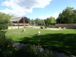 Addaxes, Impalas and Kordofan Giraffes at the Africa section of ZOO Planckendael