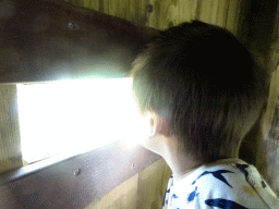 Max looking at the Kordofan Giraffes at the Africa section of ZOO Planckendael
