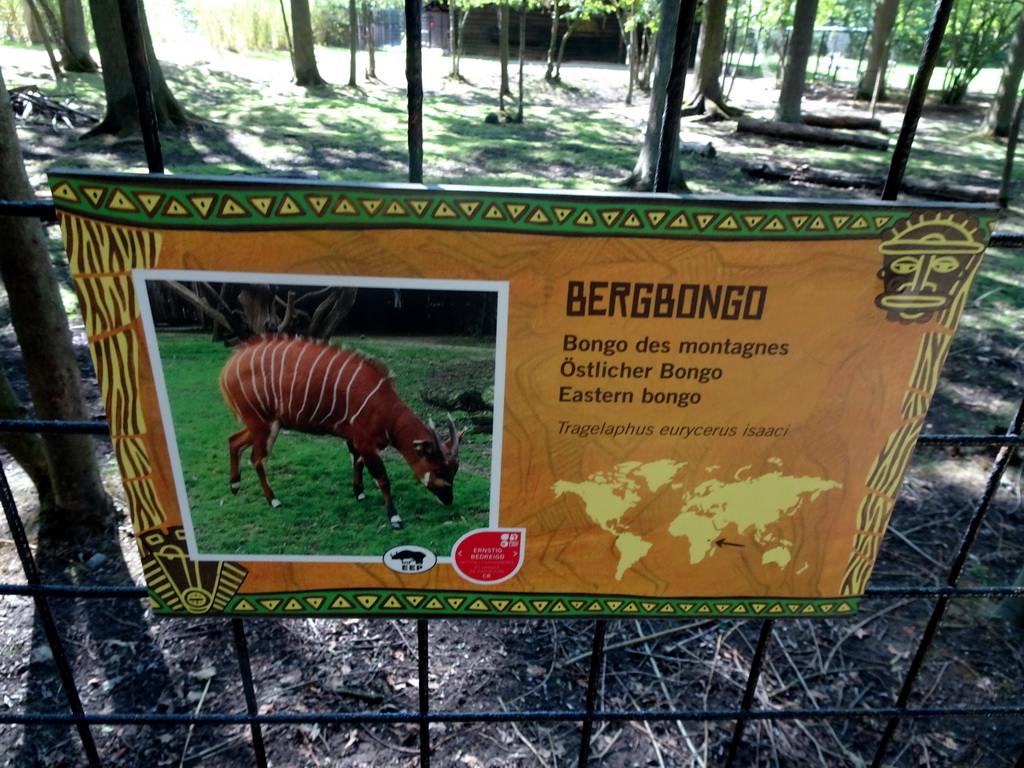 Explanation on the Eastern Bongo at the Africa section of ZOO Planckendael