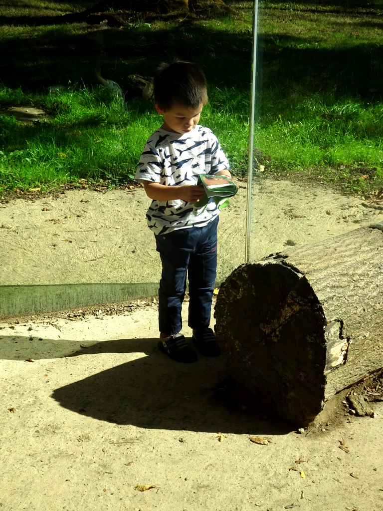Max with the map at the Africa section of ZOO Planckendael