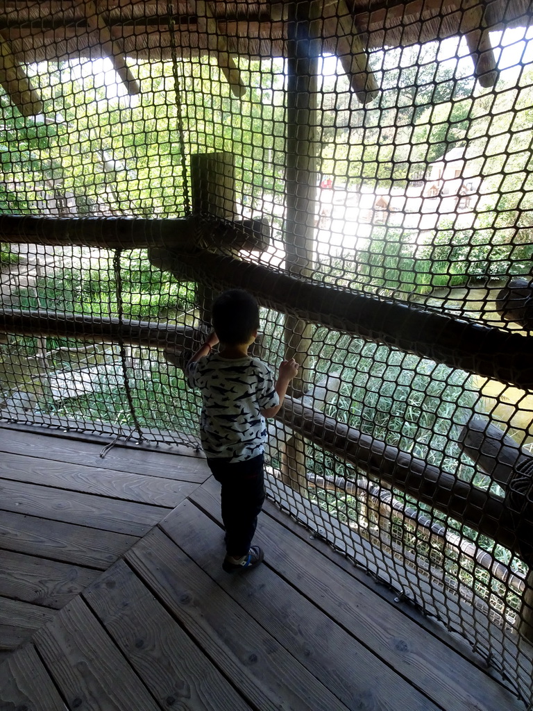 Max in a hut at the playground at the Africa section of ZOO Planckendael