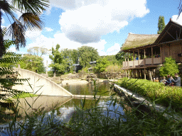 Asian Elephants and the Indian travel bureau at the Asia section of ZOO Planckendael