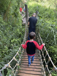Max on a rope bridge at the Asia section of ZOO Planckendael