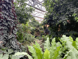 Interior of the `Adembenemend Azië` building at the Asia section of ZOO Planckendael