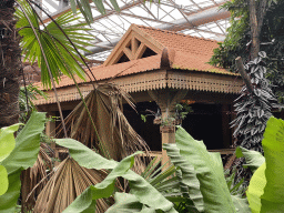 Hut at the `Adembenemend Azië` building at the Asia section of ZOO Planckendael