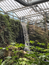 Waterfall at the `Adembenemend Azië` building at the Asia section of ZOO Planckendael
