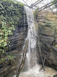 Waterfall at the `Adembenemend Azië` building at the Asia section of ZOO Planckendael