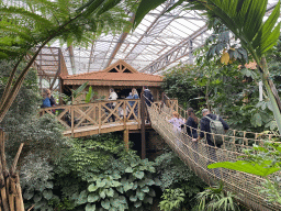 Rope bridge and hut at the `Adembenemend Azië` building at the Asia section of ZOO Planckendael