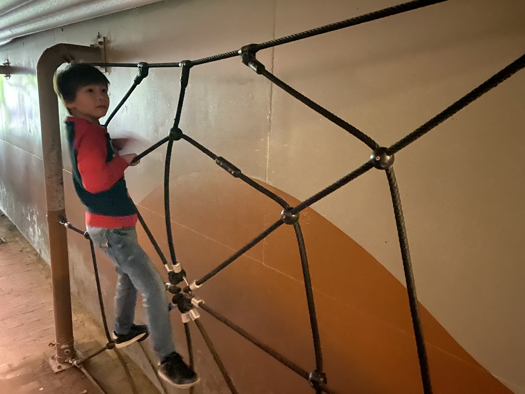 Max on a climbing at the tunnel to the Treetop Walkway at the Asia section of ZOO Planckendael