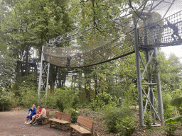 Treetop Walkway at the Asia section of ZOO Planckendael