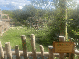 The Bonobo enclosure at the Africa section of ZOO Planckendael