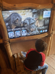 Max watching a movie about Bonobos at the Bonobo building at the Africa section of ZOO Planckendael