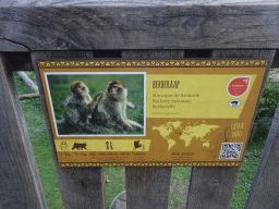 Explanation on the Barbary Macaque at the Africa section of ZOO Planckendael