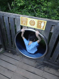 Max at a slide at the Barbary Macaque viewing platform at the Africa section of ZOO Planckendael