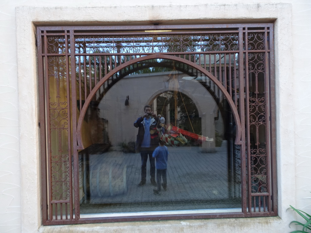 Tim and Max reflected in a window at the Barbary Macaque building at the Africa section of ZOO Planckendael