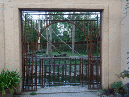 Gated window at the Barbary Macaque building at the Africa section of ZOO Planckendael