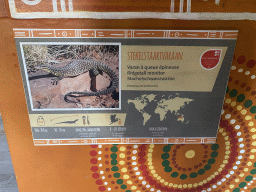 Explanation on the Ridgetail Monitor at the Reptile House at the Oceania section of ZOO Planckendael