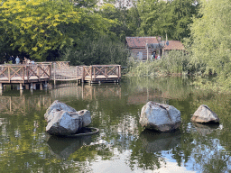 Pond at the Oceania section of ZOO Planckendael