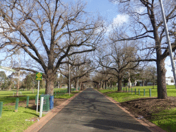 The Sheffield Walk at Yarra Park, viewed from Punt Road