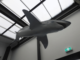 Model of a shark in the entrance hall of the Sea Life Melbourne Aquarium