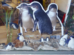 Poster of our Phillip Island Tour at the Penguin Island Tours office at Flinders Street