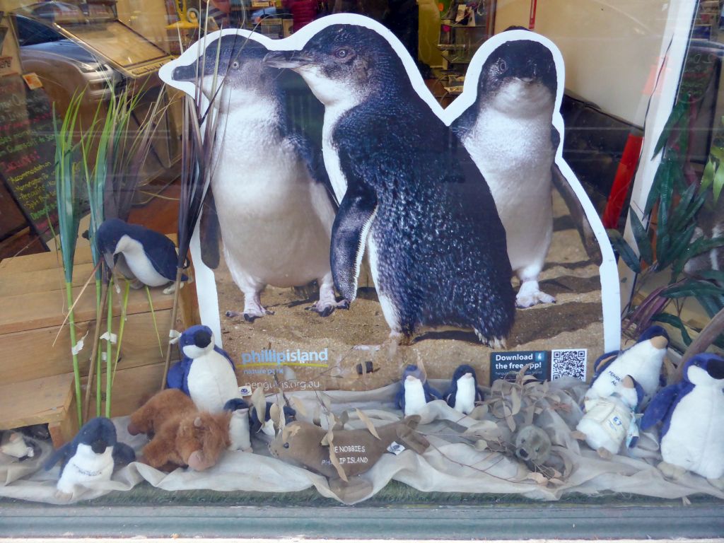 Poster of our Phillip Island Tour at the Penguin Island Tours office at Flinders Street