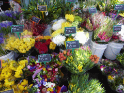 Flowers at the Queen Victoria Market