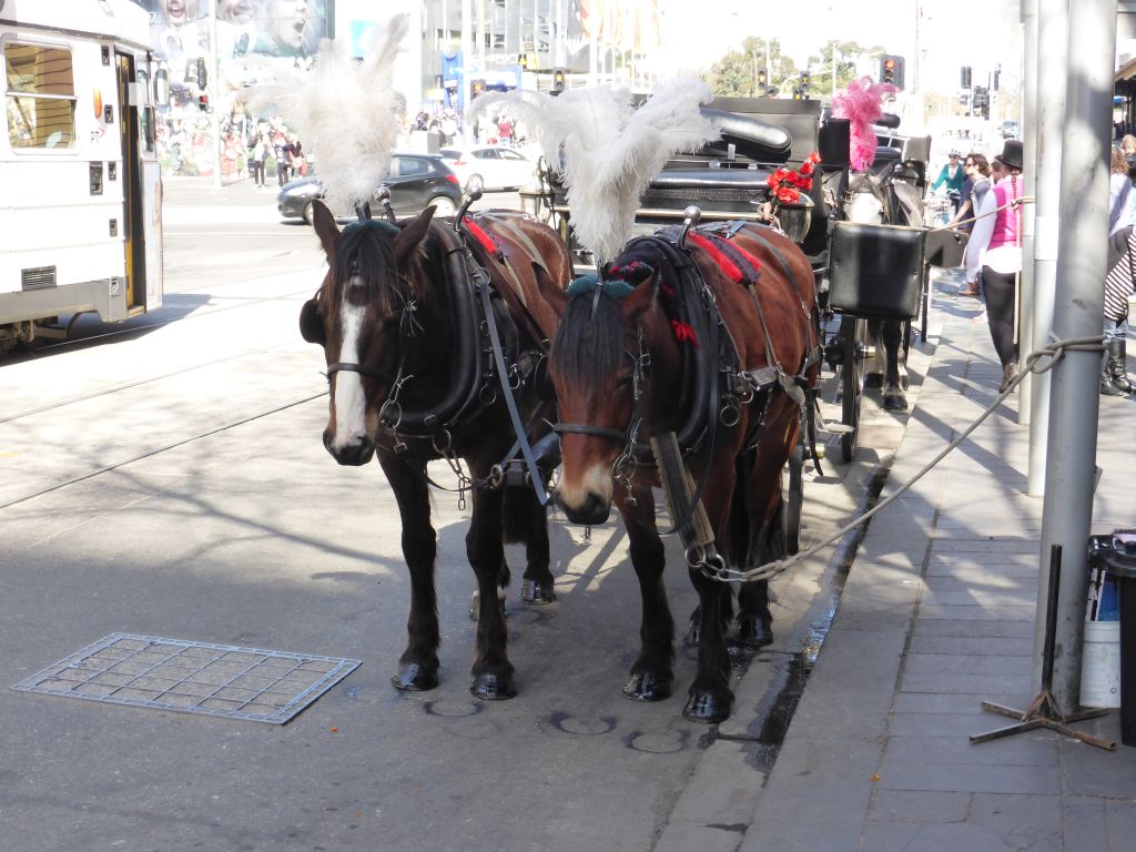 Horses and carriage at the crossing of Flinders Street and Swanston Street