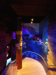 Staircase from the Shipwreck Explorer to the Mermaid Garden at the Sea Life Melbourne Aquarium