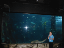 Zoo keeper, sharks and other fish at the Mermaid Garden at the Sea Life Melbourne Aquarium