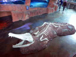Crocodile skeleton at the Croc Lair at the Sea Life Melbourne Aquarium