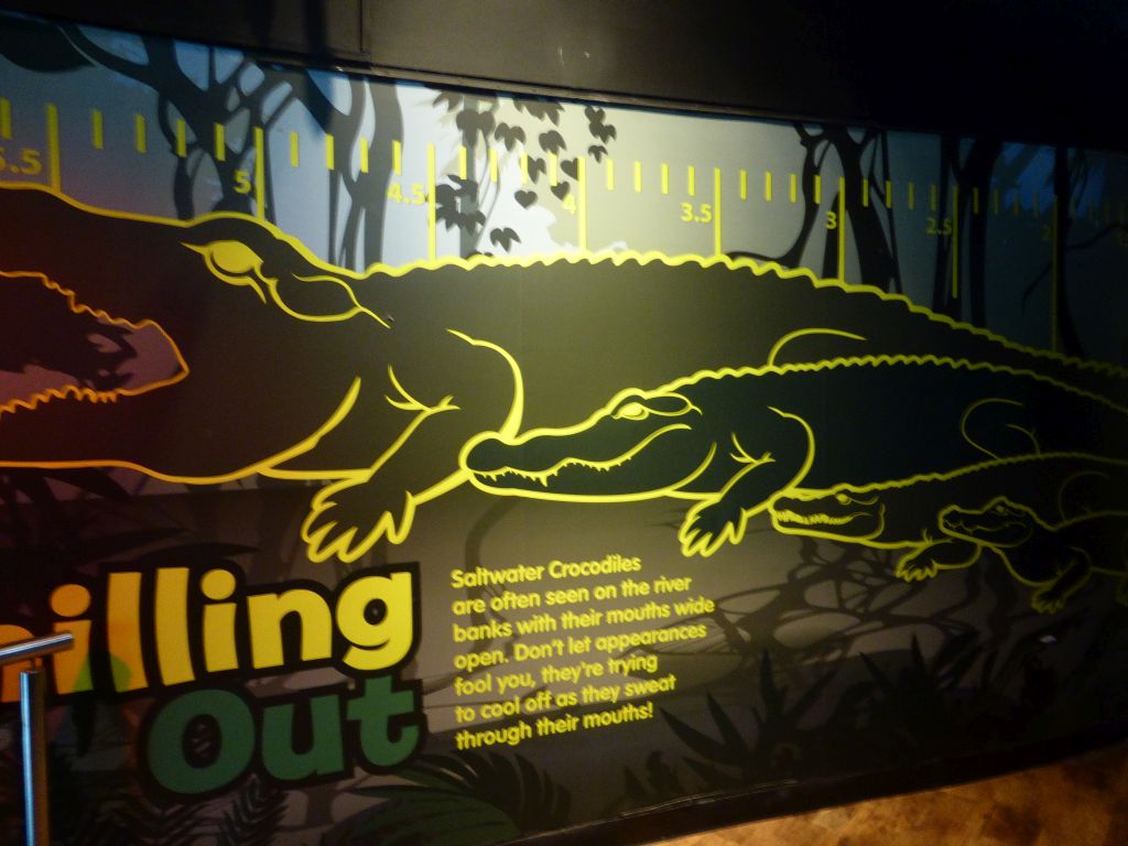 Information on Saltwater Crocodiles at the Croc Lair at the Sea Life Melbourne Aquarium