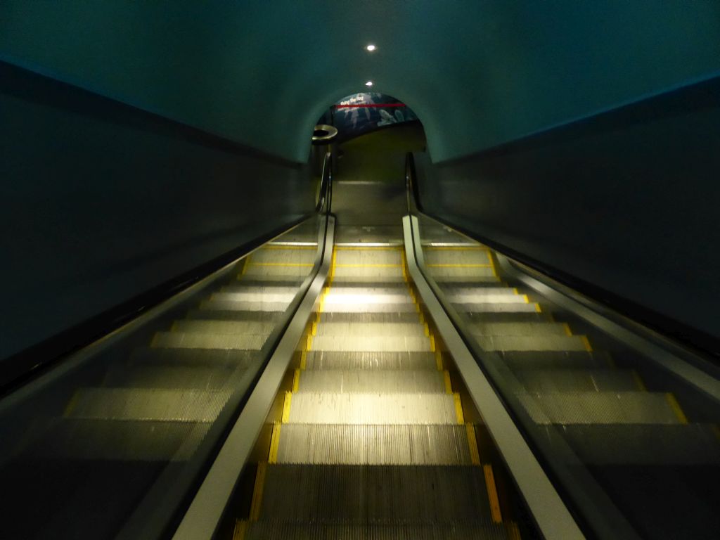 Escalator at the Sea Life Melbourne Aquarium