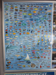 Poster with the Tropical Reef Fishes of the Great Barrier Reef and Coral Sea, at our Seastar Cruises tour boat