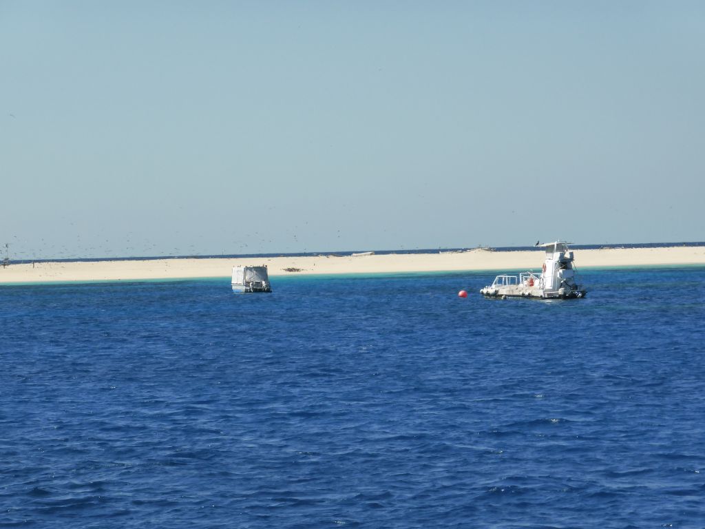 Boats in front of Michaelmas Cay, viewed from our Seastar Cruises tour boat