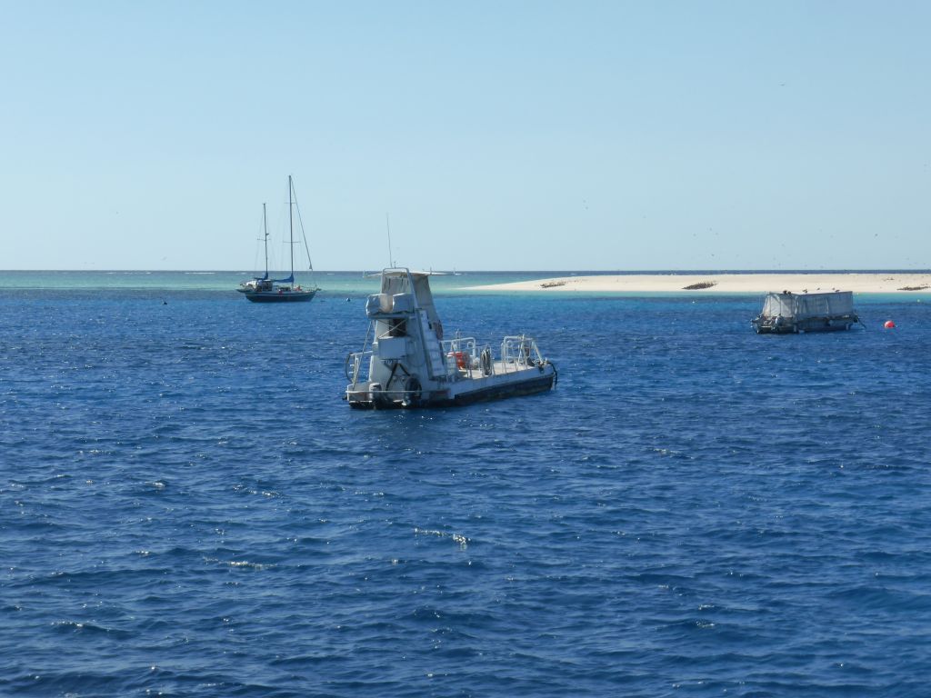 Boats in front of Michaelmas Cay, viewed from our Seastar Cruises tour boat